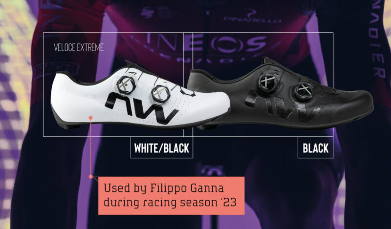 Northwave Veloce black and white